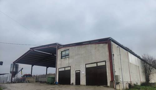 imagen 1 de Nave gandera