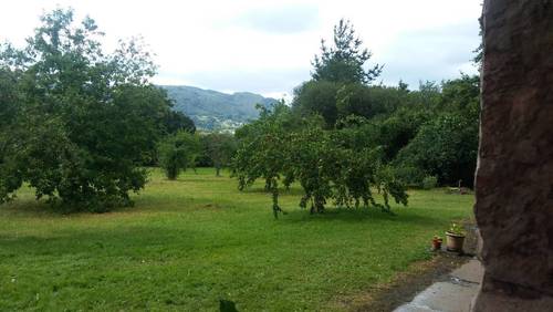 imagen 1 de FINCA ESTUPENDA PARA FRUTALES