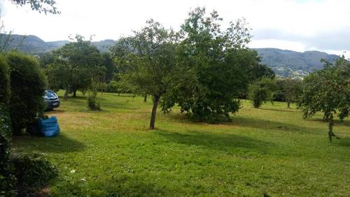 imagen 1 de FINCA ESTUPENDA PARA FRUTALES