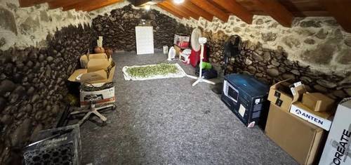 imagen 15 de Preciosa finca rústica con chalet y sequero