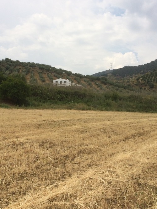 imagen 10 de Terreno buen situado en el valle Guadalhorce