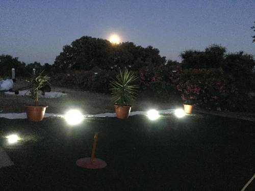 imagen 13 de FINCA RUSTICA 142HA