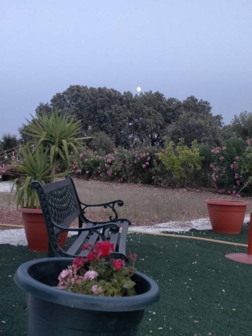 imagen 14 de FINCA RUSTICA 142HA