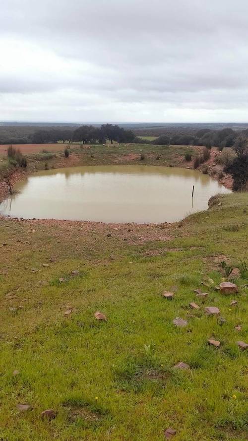 imagen 15 de FINCA RUSTICA 142HA