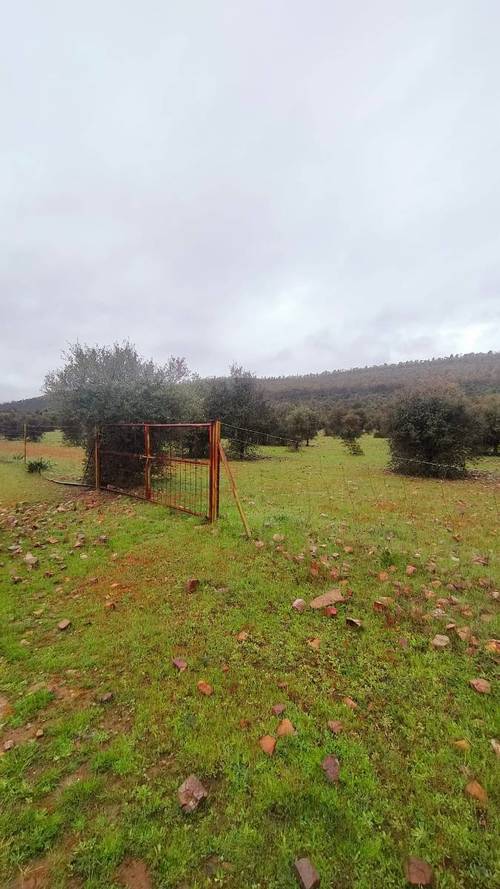 imagen 16 de FINCA RUSTICA 142HA