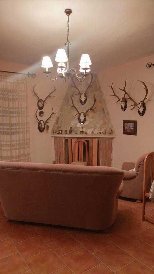 imagen 8 de FINCA RUSTICA 142HA