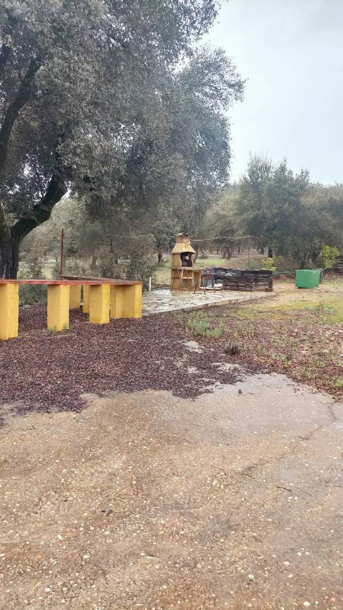 imagen 10 de FINCA RUSTICA 142HA