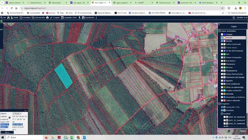 imagen 1 de Véndese monte en Cedofeita (Ribadeo) – 32.096 m²