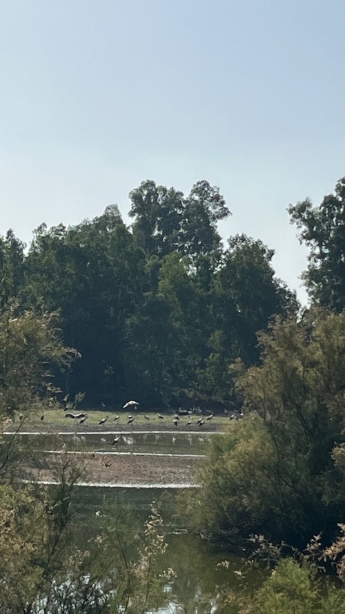 imagen 9 de Espectacular paraje natural