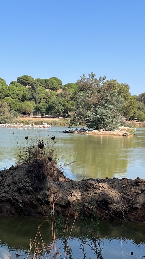 imagen 6 de Espectacular paraje natural