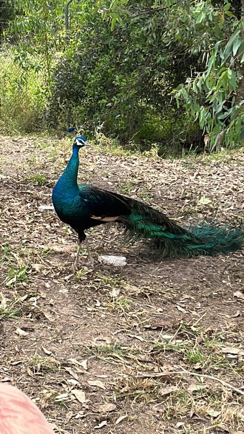 imagen 5 de Espectacular paraje natural