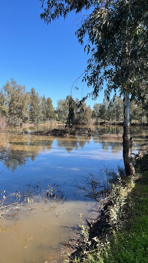 imagen 4 de Espectacular paraje natural