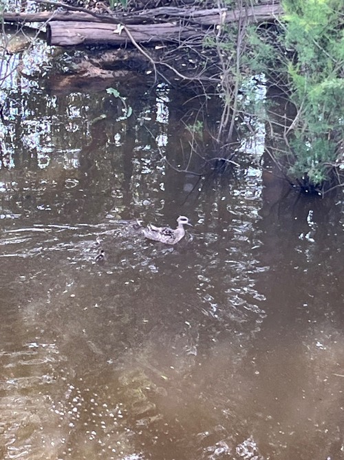 imagen 10 de Espectacular paraje natural