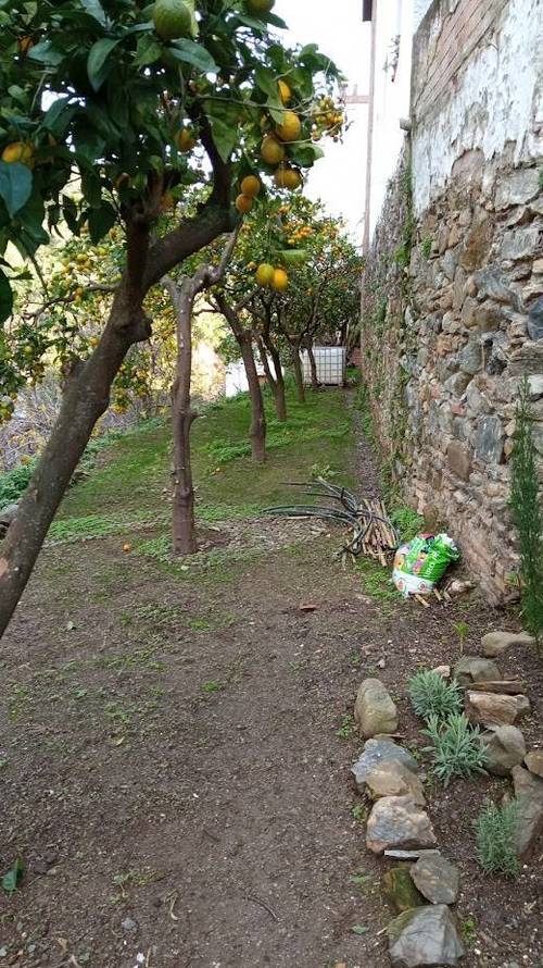 imagen 7 de Parcela urbana en parque nacional