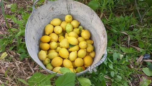 imagen 16 de Parcela urbana en parque nacional