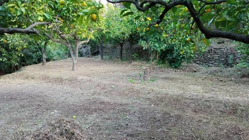 imagen 1 de Parcela urbana en parque nacional