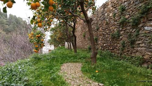 imagen 8 de Parcela urbana en parque nacional