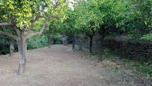 imagen 1 de Parcela urbana en parque nacional