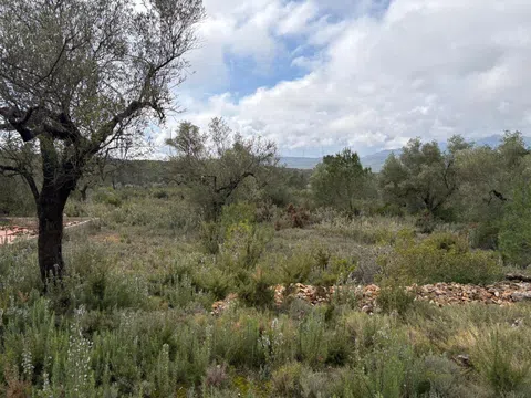 imagen 5 de Finca rústica