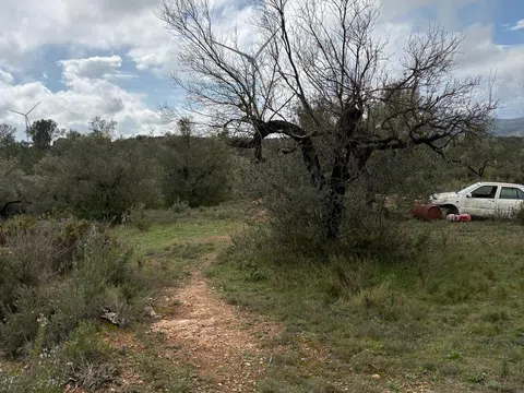 imagen 3 de Finca rústica