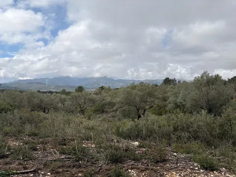 imagen 6 de Finca rústica