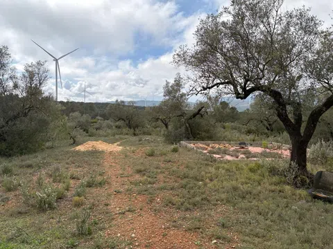 imagen 1 de Finca rústica