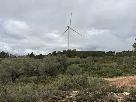 imagen 2 de Finca rústica