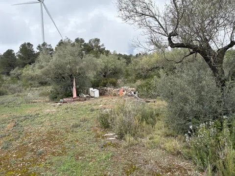 imagen 4 de Finca rústica