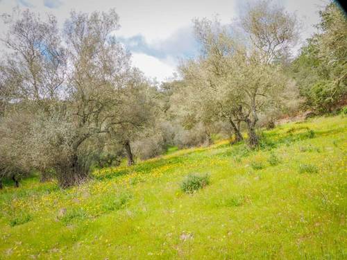 imagen 2 de Parcela Rústica