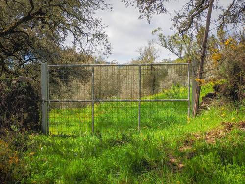 imagen 1 de Parcela Rústica