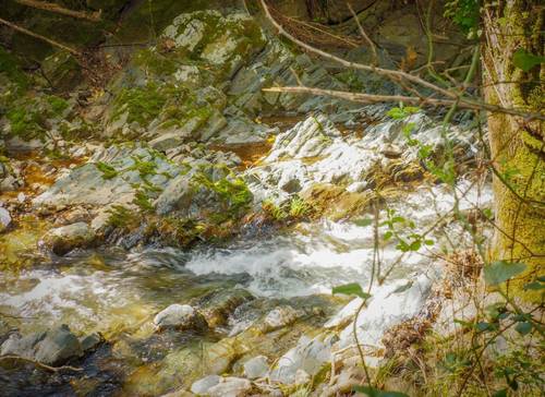 imagen 9 de Parcela Rústica