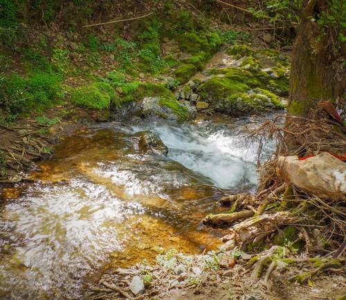 imagen 11 de Parcela Rústica