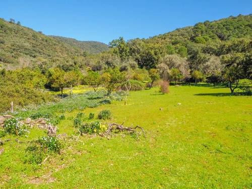 imagen 1 de Parcela rústica