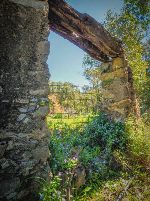 imagen 1 de Parcela rústica