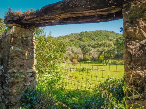 imagen 2 de Parcela rústica