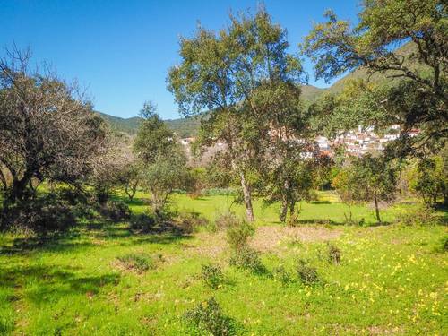 imagen 5 de Parcela rústica