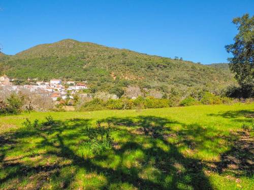 imagen 3 de Parcela rústica