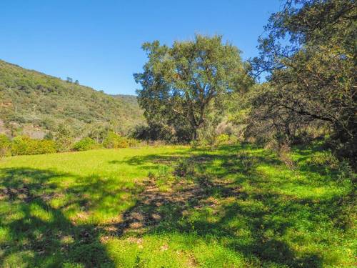 imagen 6 de Parcela rústica