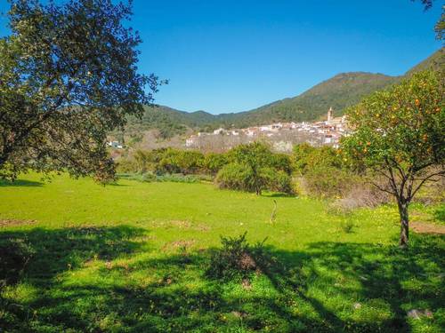 imagen 7 de Parcela rústica