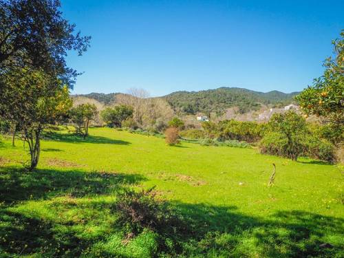 imagen 8 de Parcela rústica