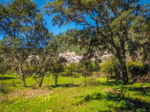 imagen 9 de Parcela rústica