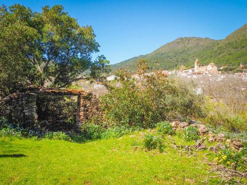 imagen 11 de Parcela rústica