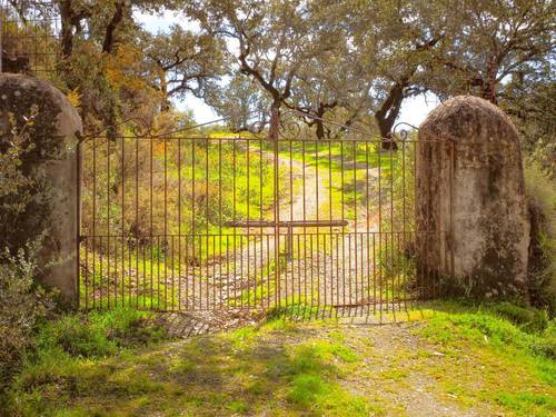 imagen 1 de Finca Dehesa