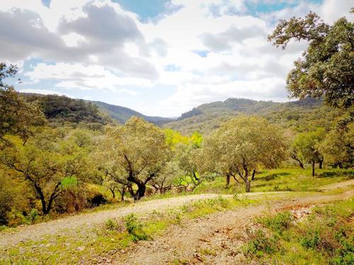 imagen 3 de Finca Dehesa