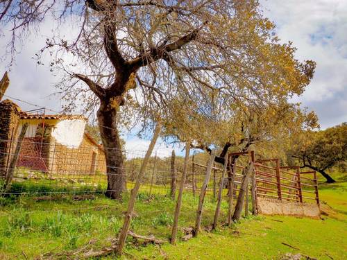 imagen 5 de Finca Dehesa