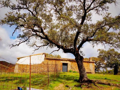 imagen 6 de Finca Dehesa