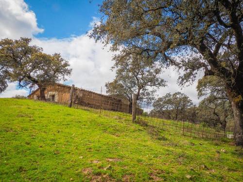 imagen 9 de Finca Dehesa