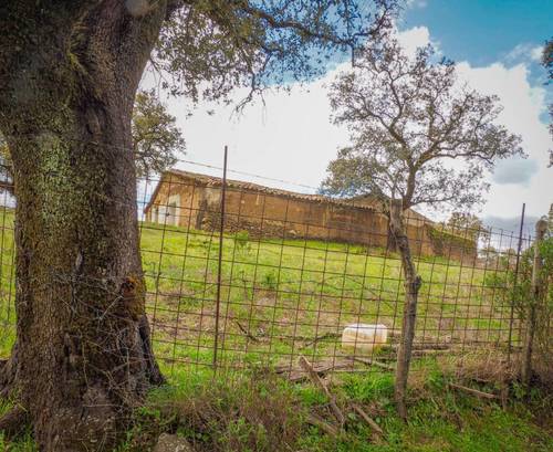 imagen 11 de Finca Dehesa