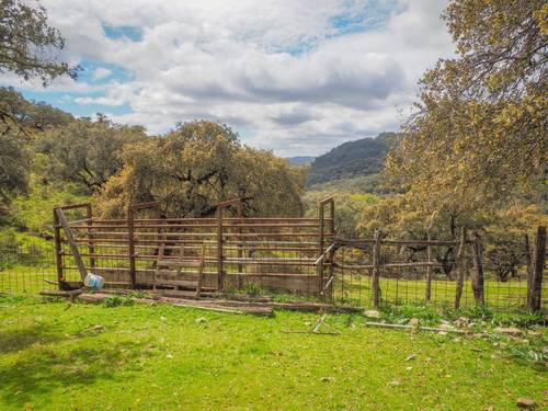 imagen 14 de Finca Dehesa