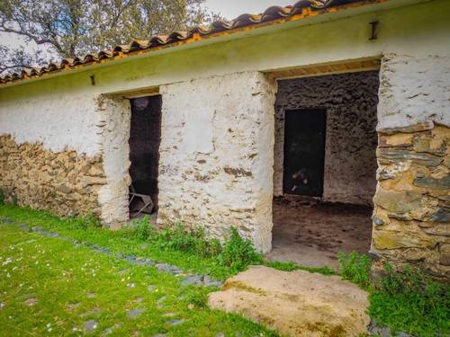 imagen 13 de Finca Dehesa